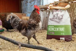 Hönsfoder Agda Koncentrat Pellets 15kg>Granngården Clearance