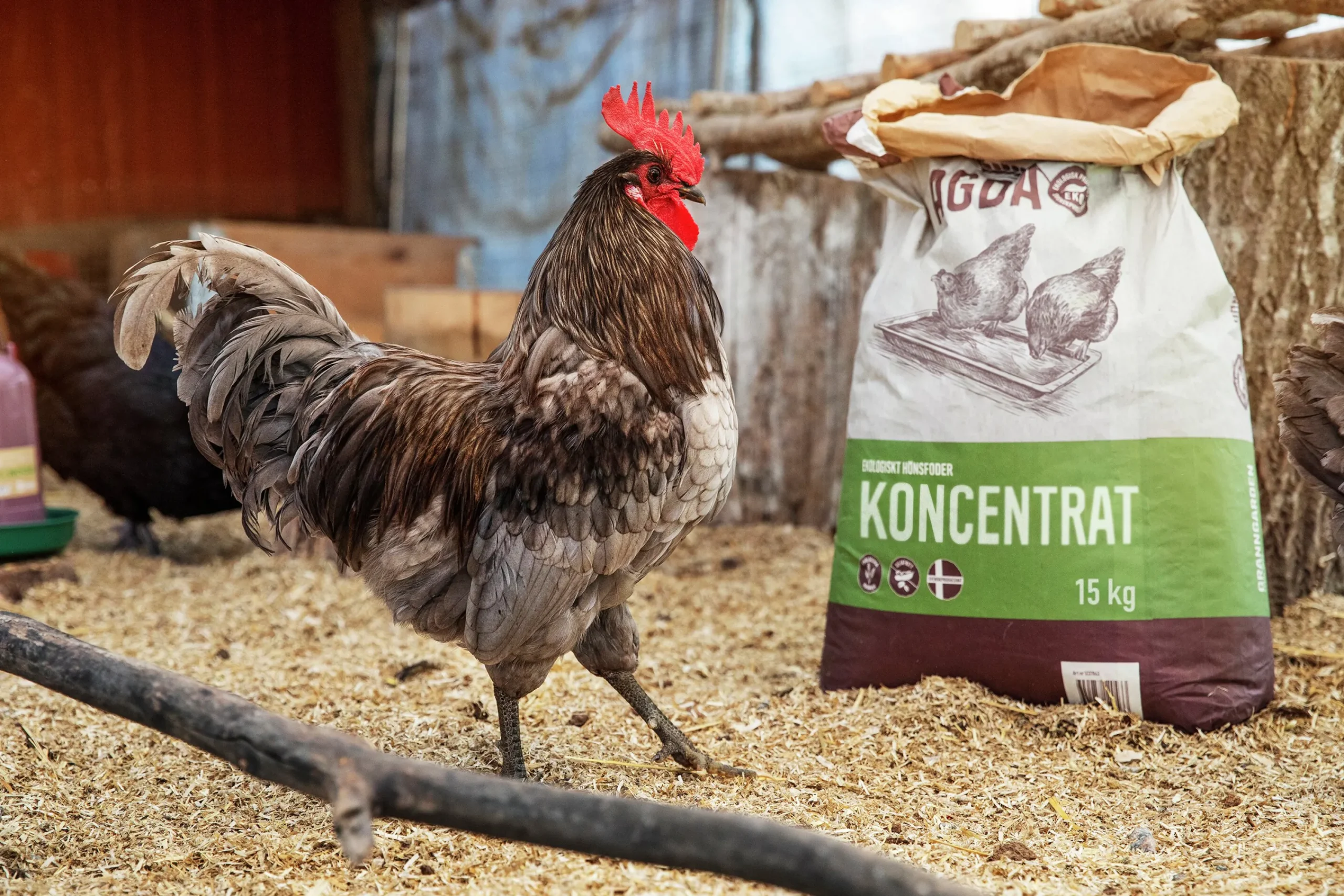 Hönsfoder Agda Koncentrat Pellets 15kg>Granngården Clearance