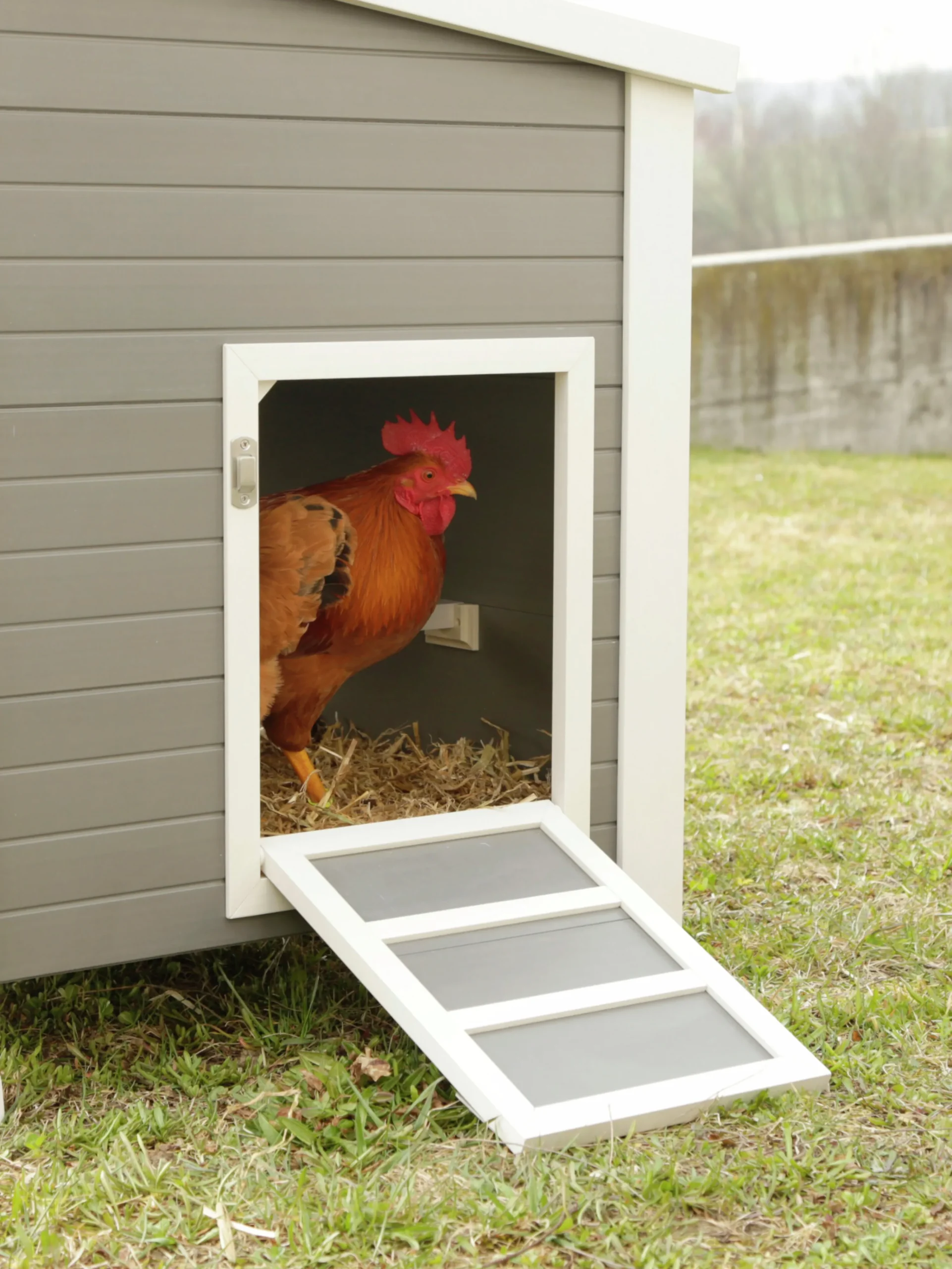Hönshus Eco Barney Grå/Vit 137x73x83cm>Kerbl Clearance