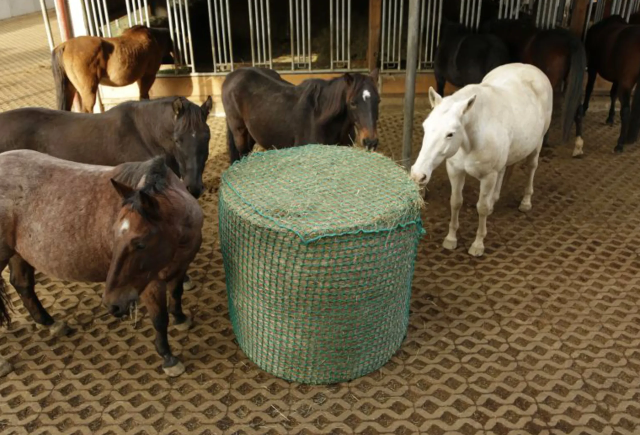 Hönät till rundbal 4,5cm maska 150x150cm>Kerbl