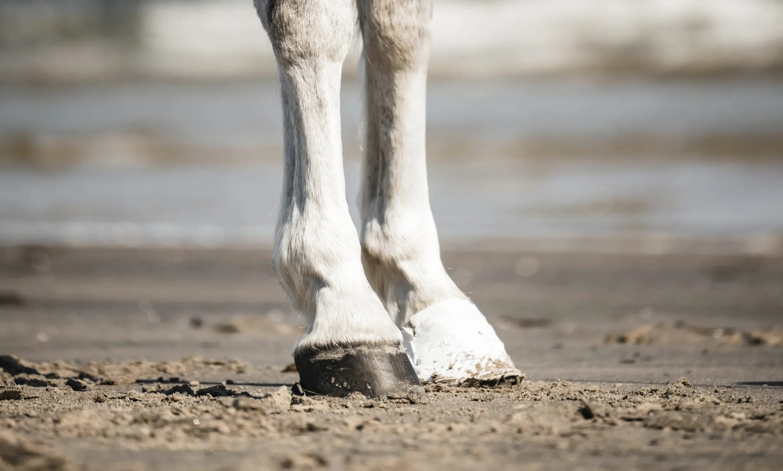 Hov- och Veterinärtejp Vit 18m>Outdoor tapes Online