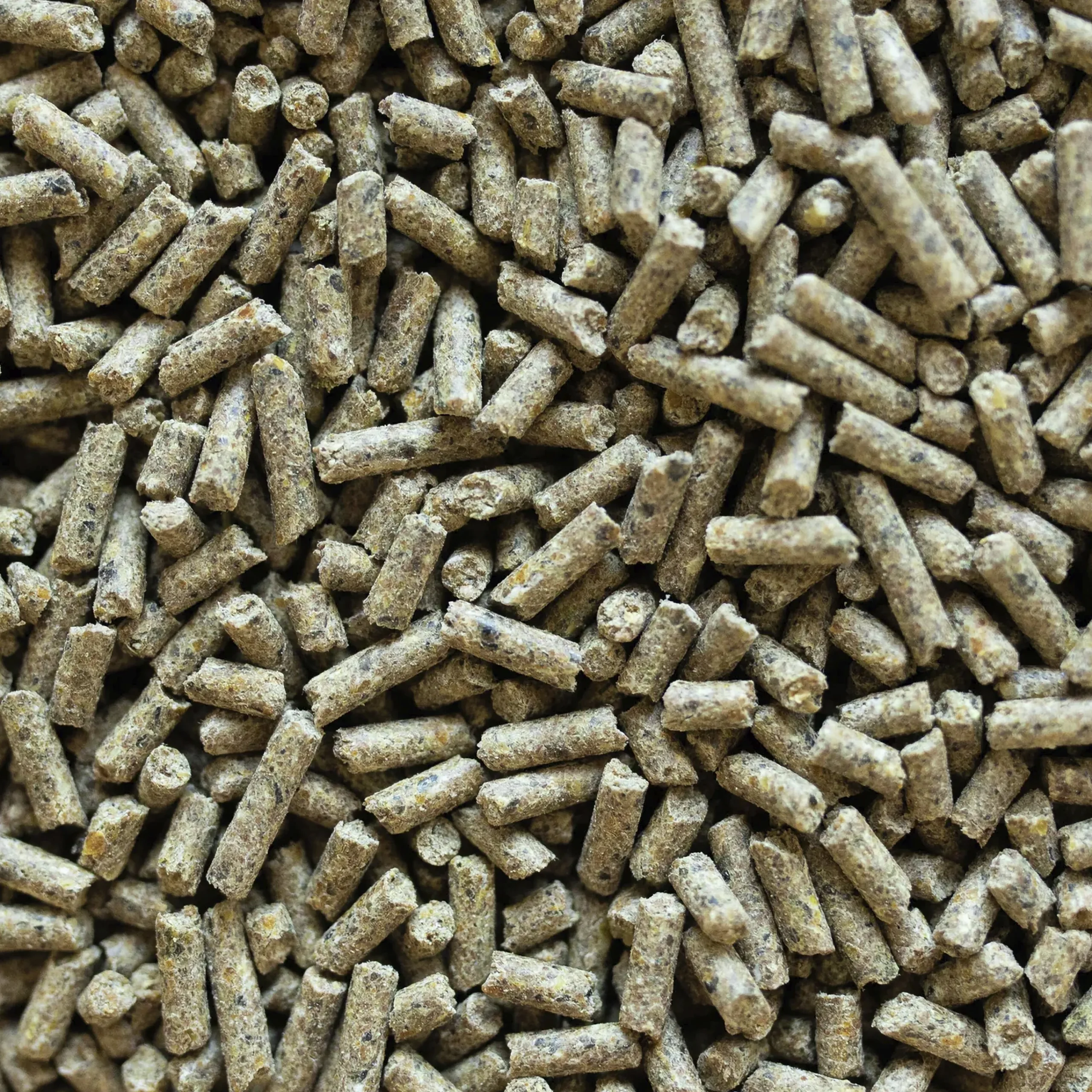 Hästfoder Optimal 1 Growth Balancer 15kg>Brogaarden Sale