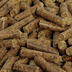 Hästfoder Betfiber Mash 15kg><noscript><img width=