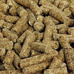 Hästfoder Elit Pellets 20kg><noscript><img width=
