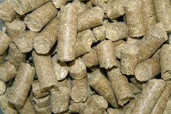 Hästgodis Delizia Äpple 1kg>Kerbl Online