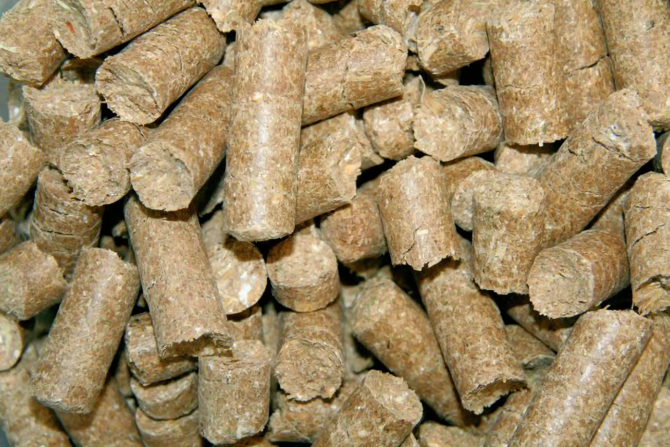Hästgodis Delizia Äpple 3kg>Kerbl