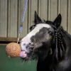 Hästgodis Stallboll Granolo Äpple 1,5kg>Likit Best