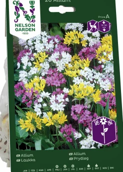 Höstlök Allium Mix>Nelson Garden Online