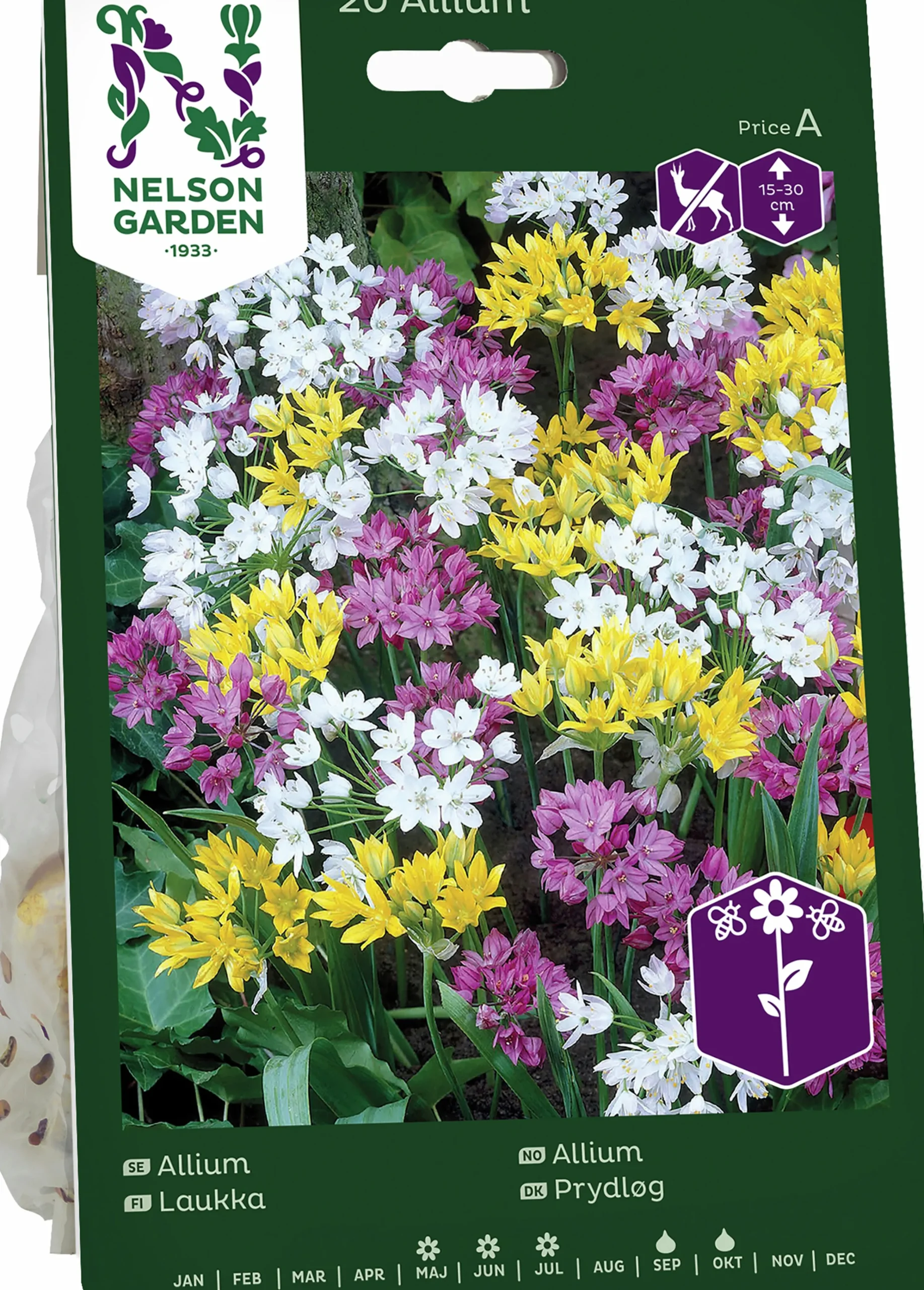 Höstlök Allium Mix>Nelson Garden Online