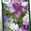 Höstlök Balkansippa Mix>Nelson Garden Outlet