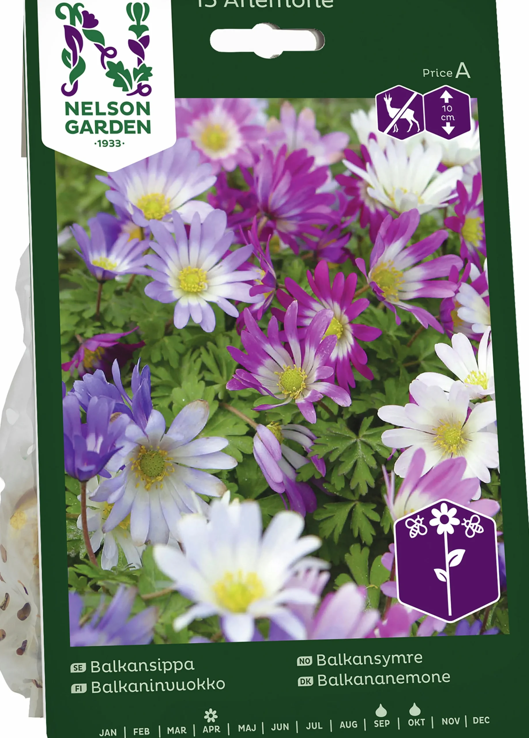 Höstlök Balkansippa Mix>Nelson Garden Outlet
