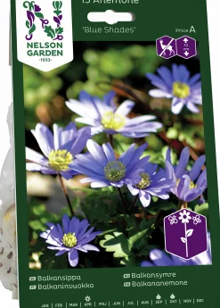 Höstlök Balkansippa Blue Shades>Nelson Garden Hot