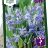 Höstlök Blåstjärna Rysk Blå>Nelson Garden Online