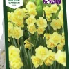 Höstlök Bukettnarciss Yellow Cheerfulness>Nelson Garden Online