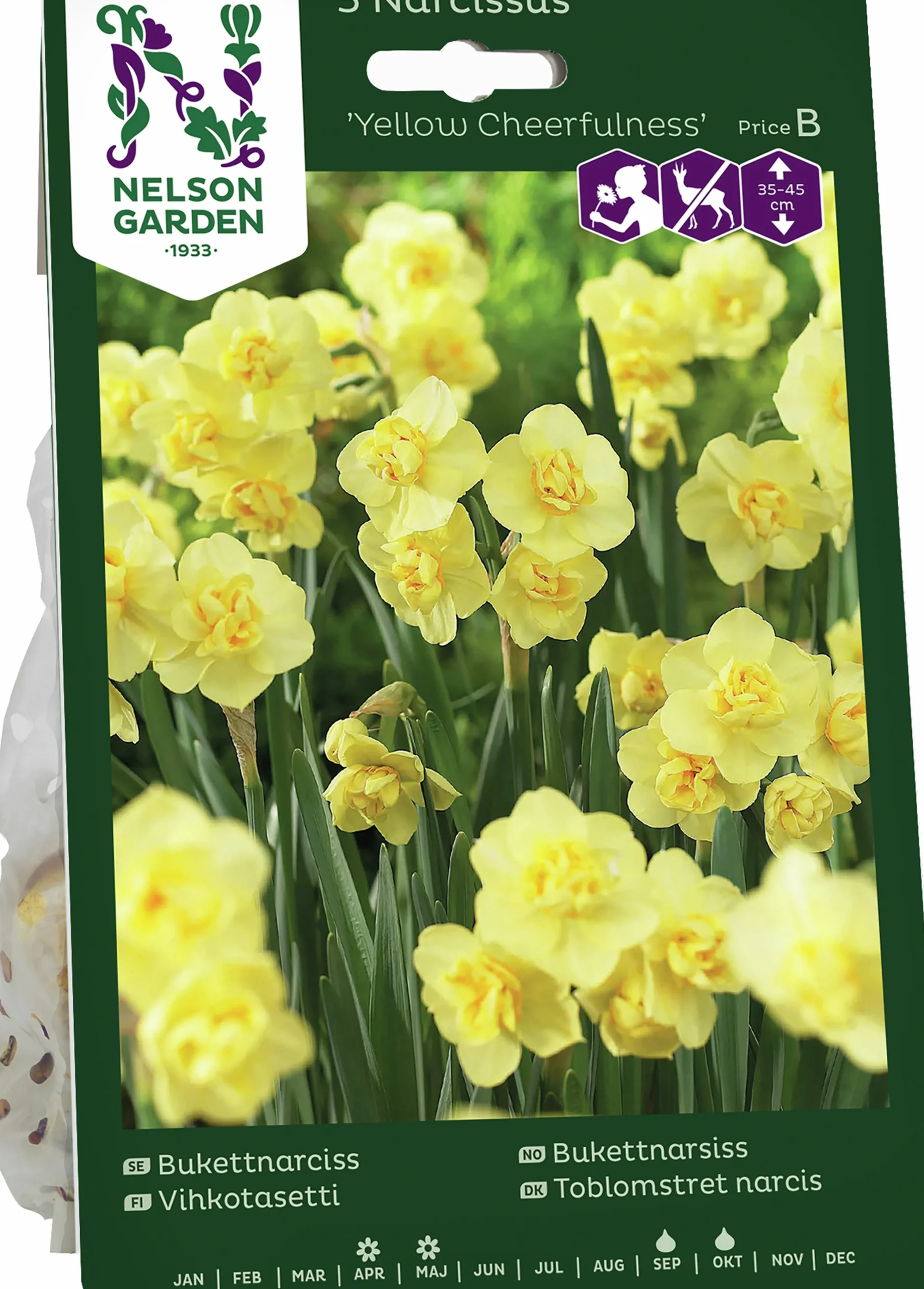 Höstlök Bukettnarciss Yellow Cheerfulness>Nelson Garden Online