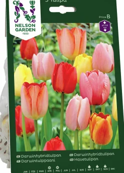 Höstlök Darwintulpan Mix>Nelson Garden Discount