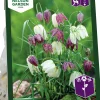 Höstlök Kungsängslilja Mix>Nelson Garden Online