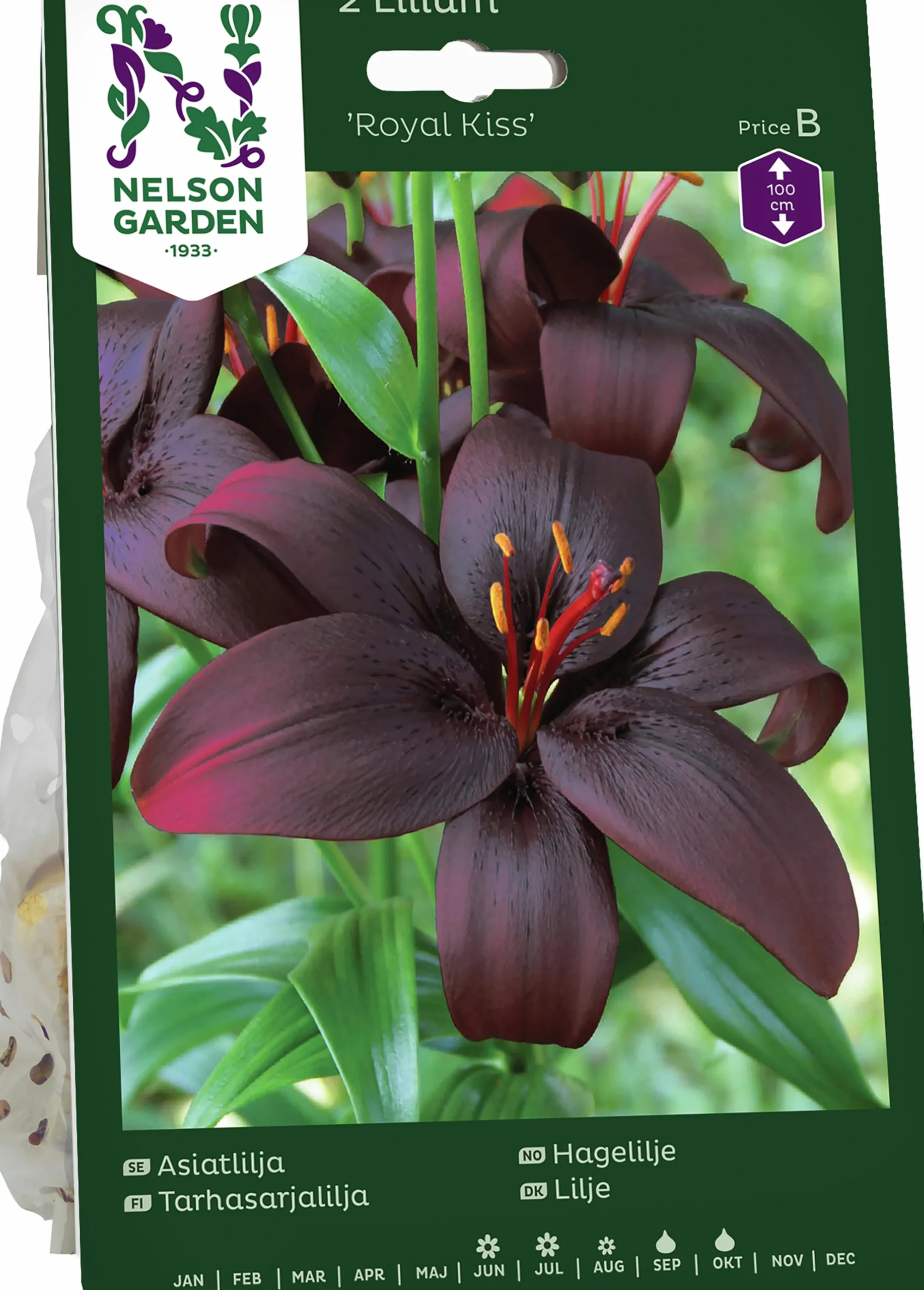 Höstlök Lilja Asiatisk Royal Kiss>Nelson Garden Best