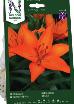 Höstlök Lilja Asiatisk Orange>Nelson Garden Online