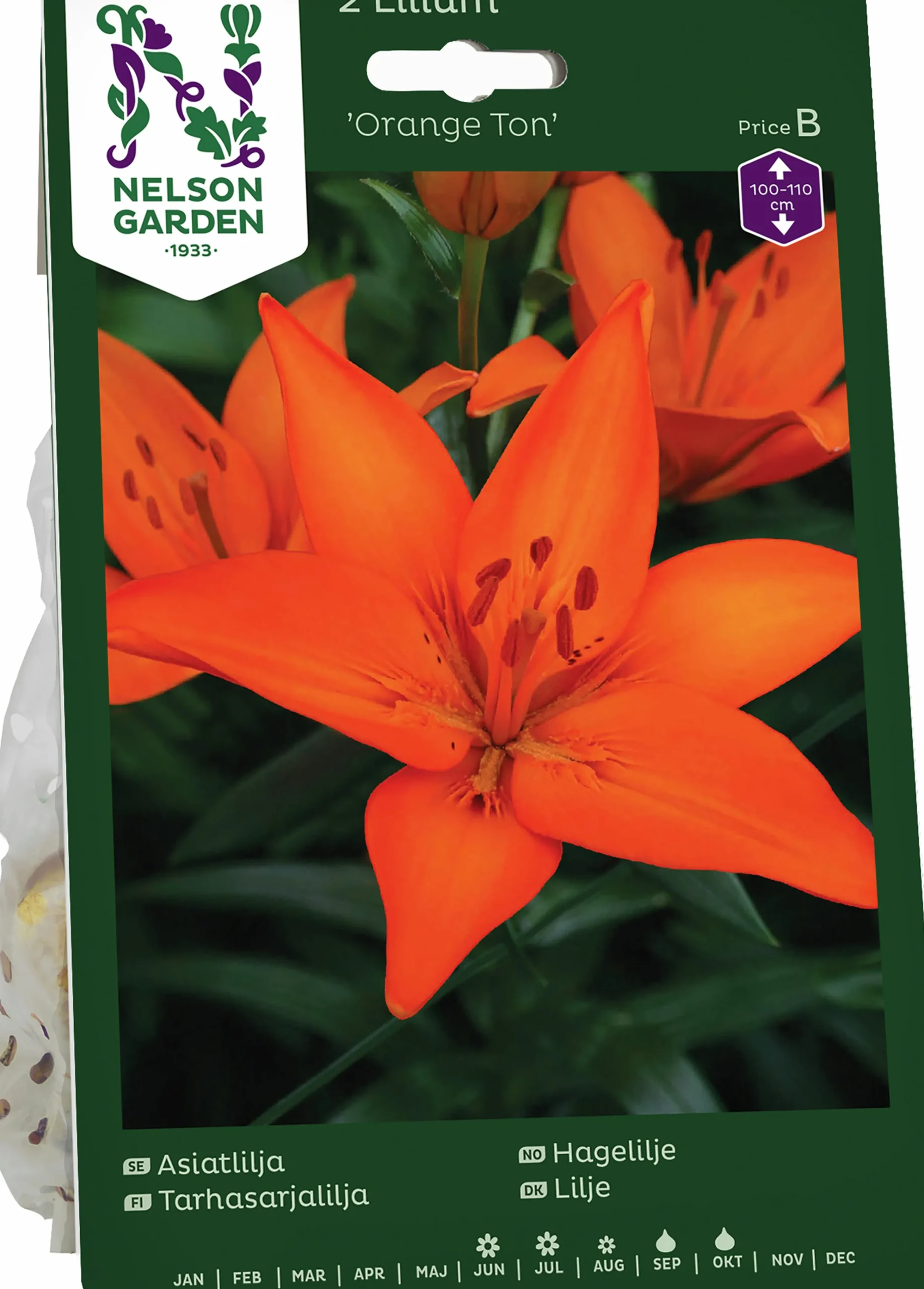Höstlök Lilja Asiatisk Orange>Nelson Garden Online