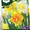 Höstlök Narcissus Lovely Match Showtime>Nelson Garden Outlet