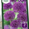 Höstlök Purpurlök Purple Sensation>Nelson Garden Hot