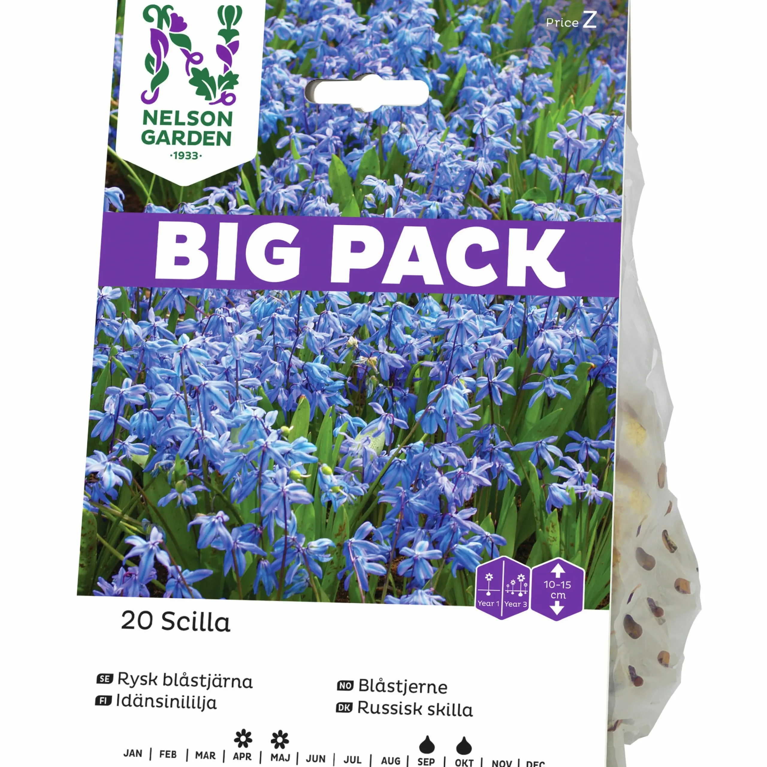 Höstlök Rysk Blåstjärna Big Pack>Nelson Garden