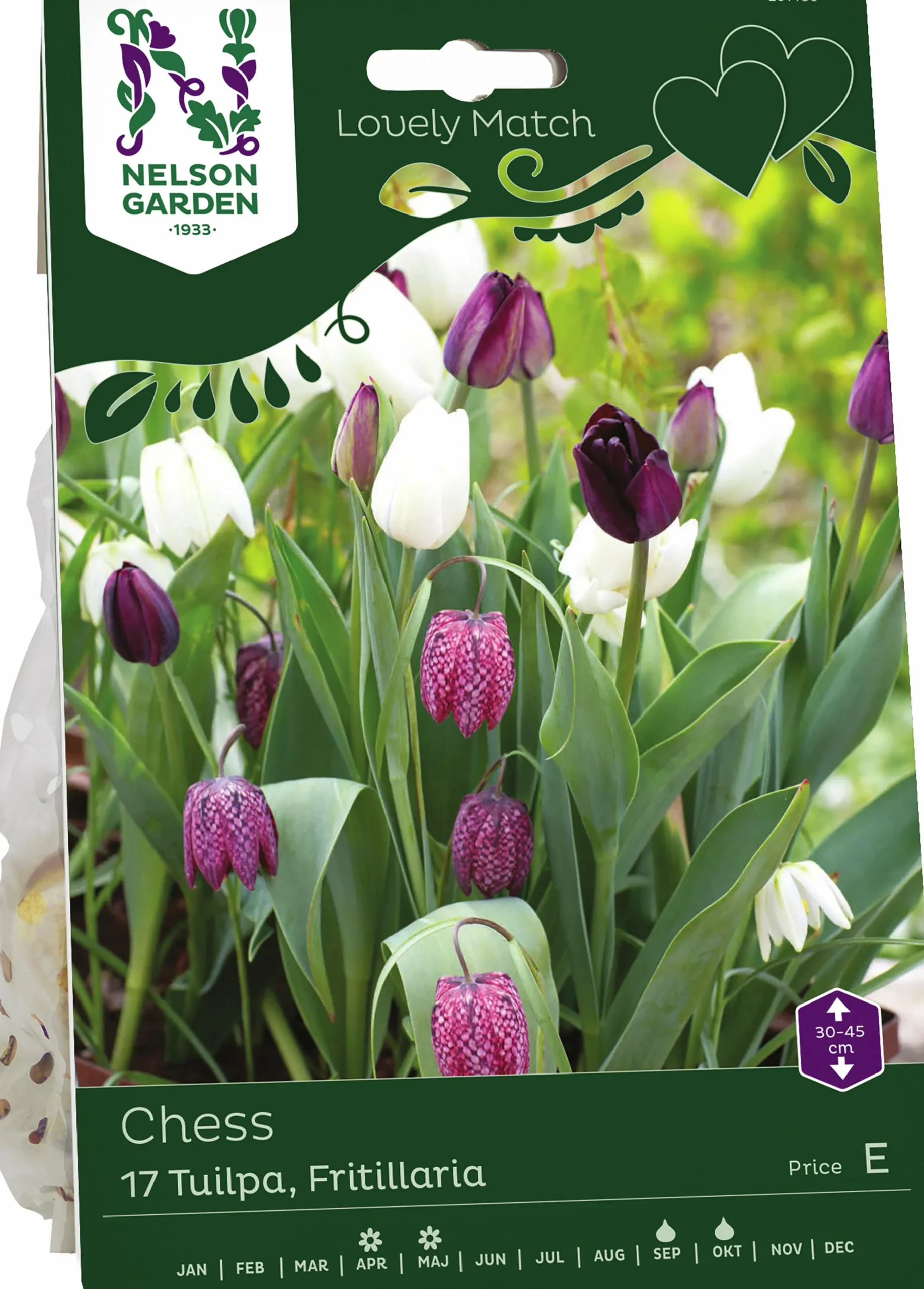 Höstlök Tulpan Fritillaria Lovely Match Chess>Nelson Garden