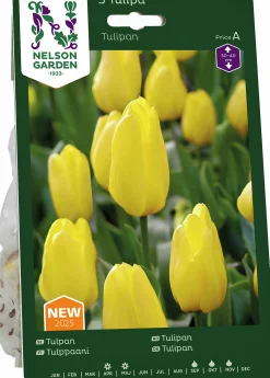 Höstlök Tulpan Gul>Nelson Garden Outlet