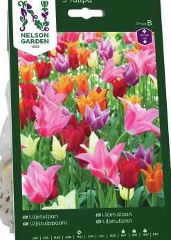 Höstlök Tulpan Lilje Mix>Nelson Garden Clearance