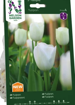 Höstlök Tulpan Vit>Nelson Garden Online