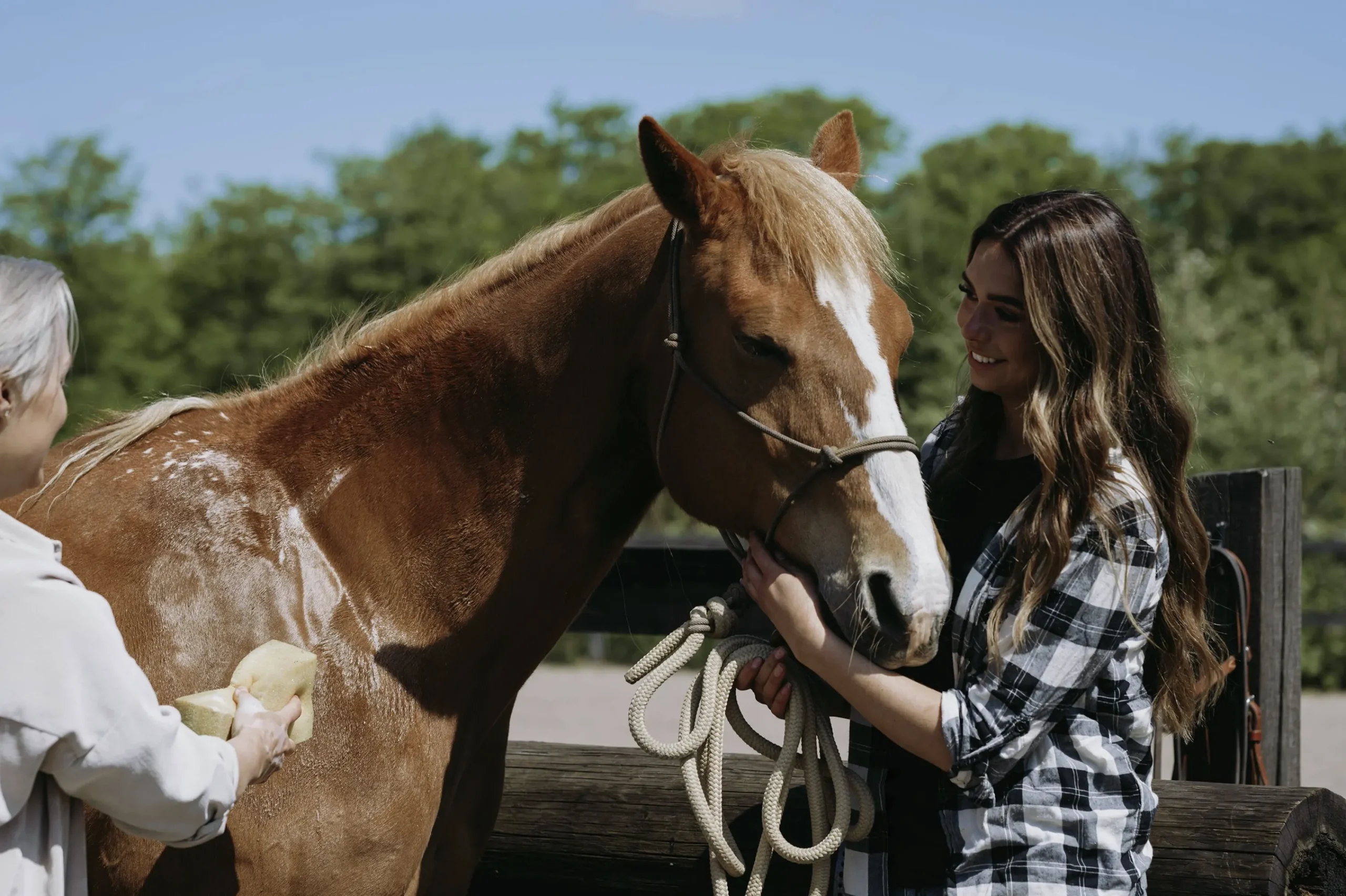 Hästschampo 1L>Fair Horse Care Best