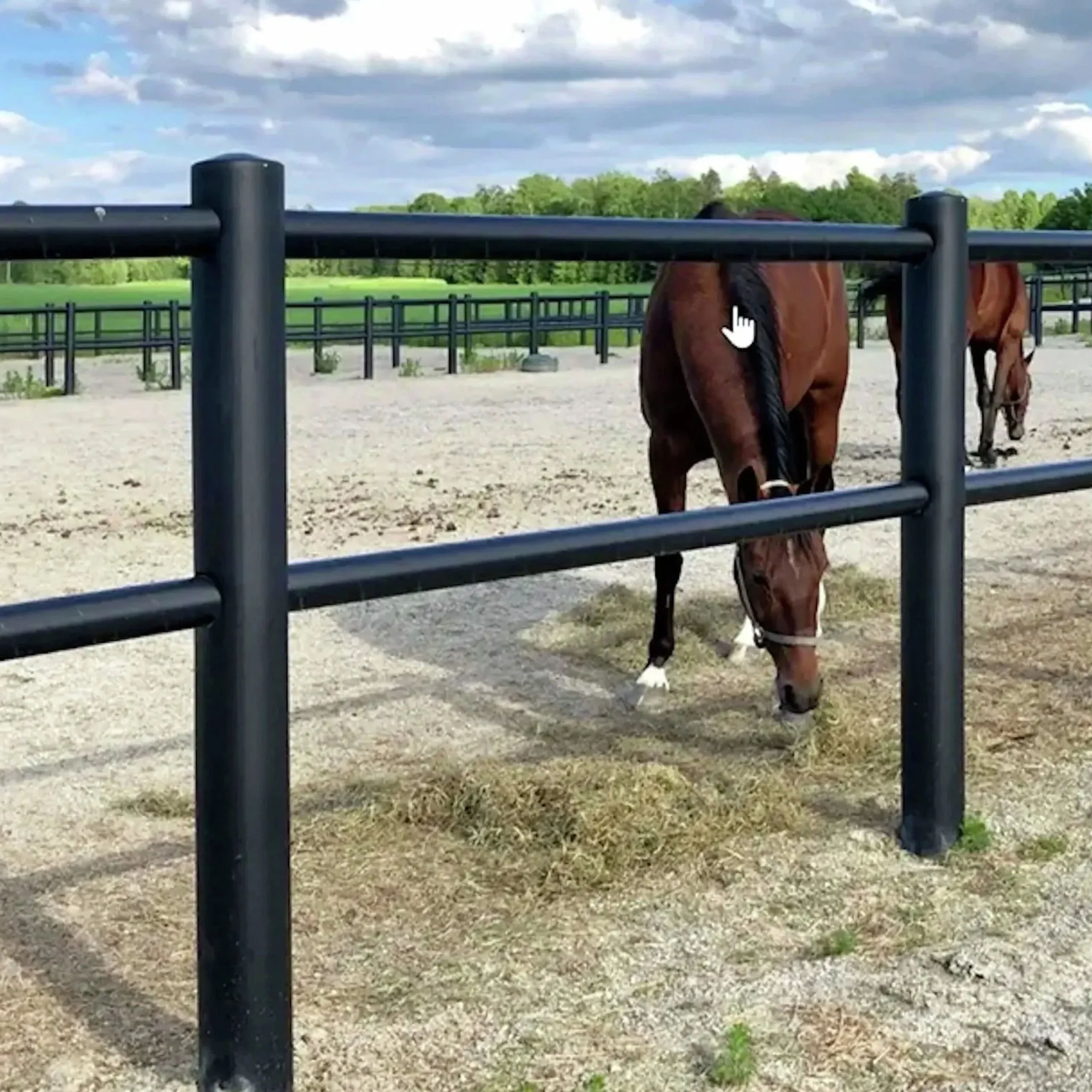 Häststaket med 2 slanor & grind (hemleverans)>Equisafe Sale