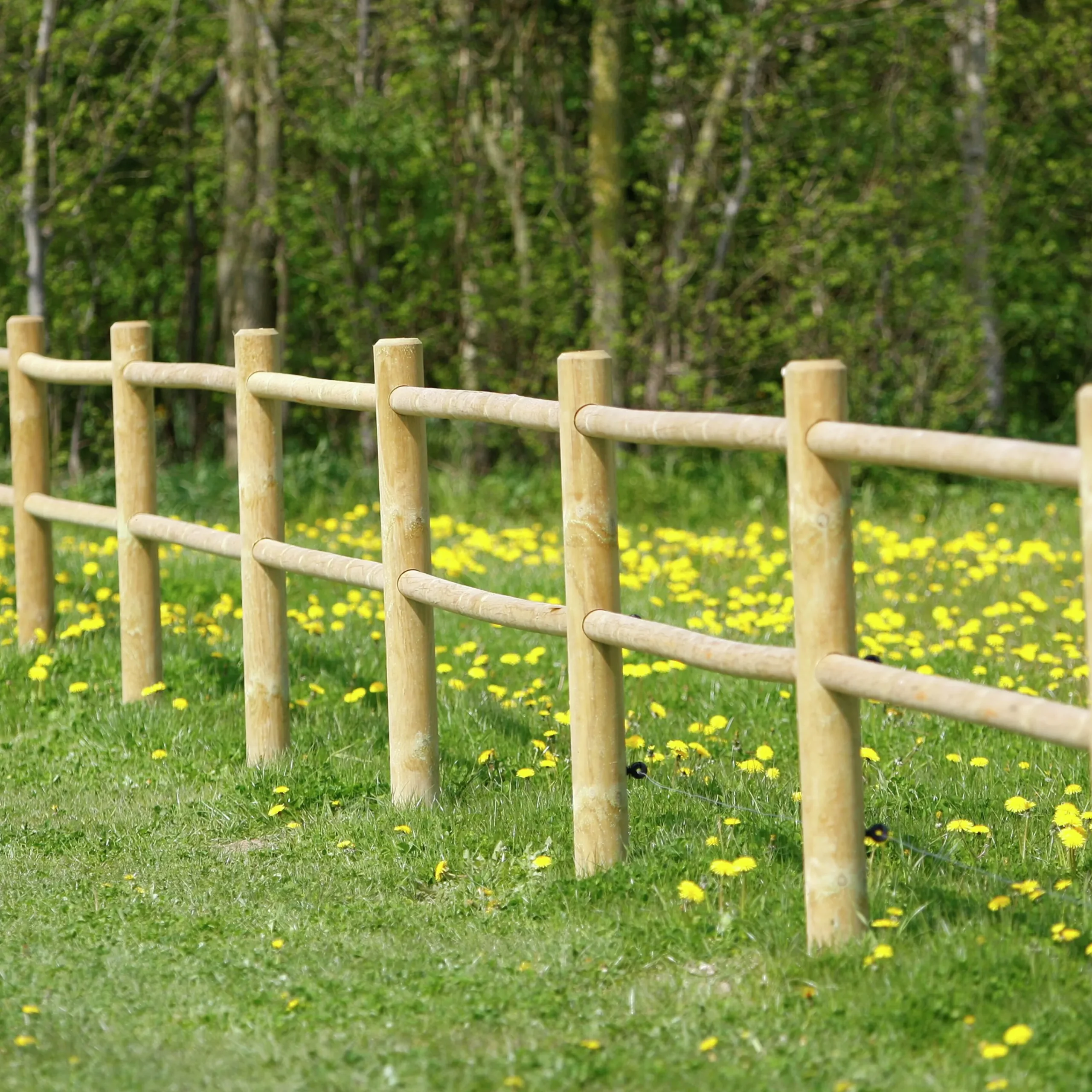 Häststängsel Natur>Nordic Fence Online