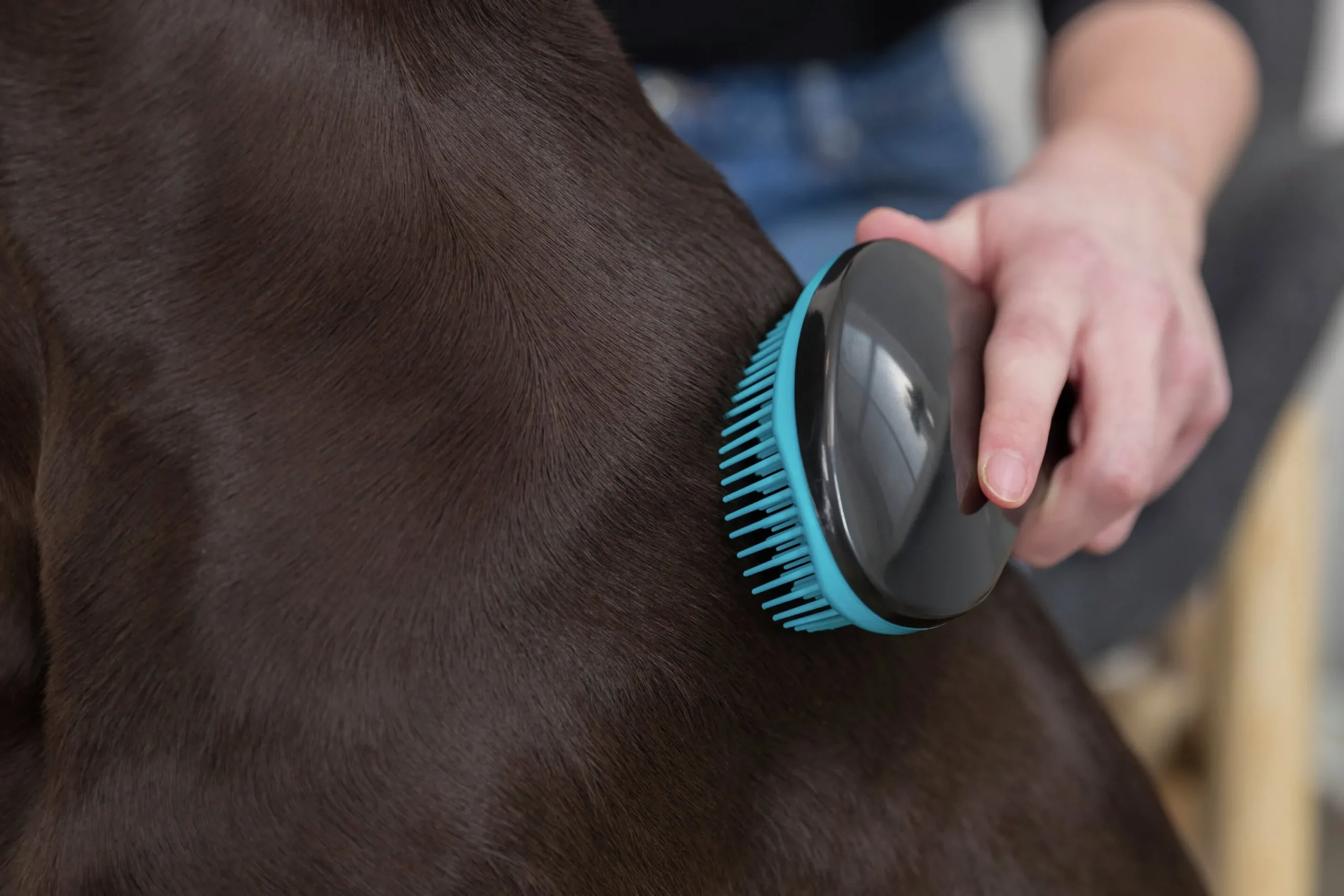 Hundborste Mjuk i Plast Turkos 19cm>Trixie Online