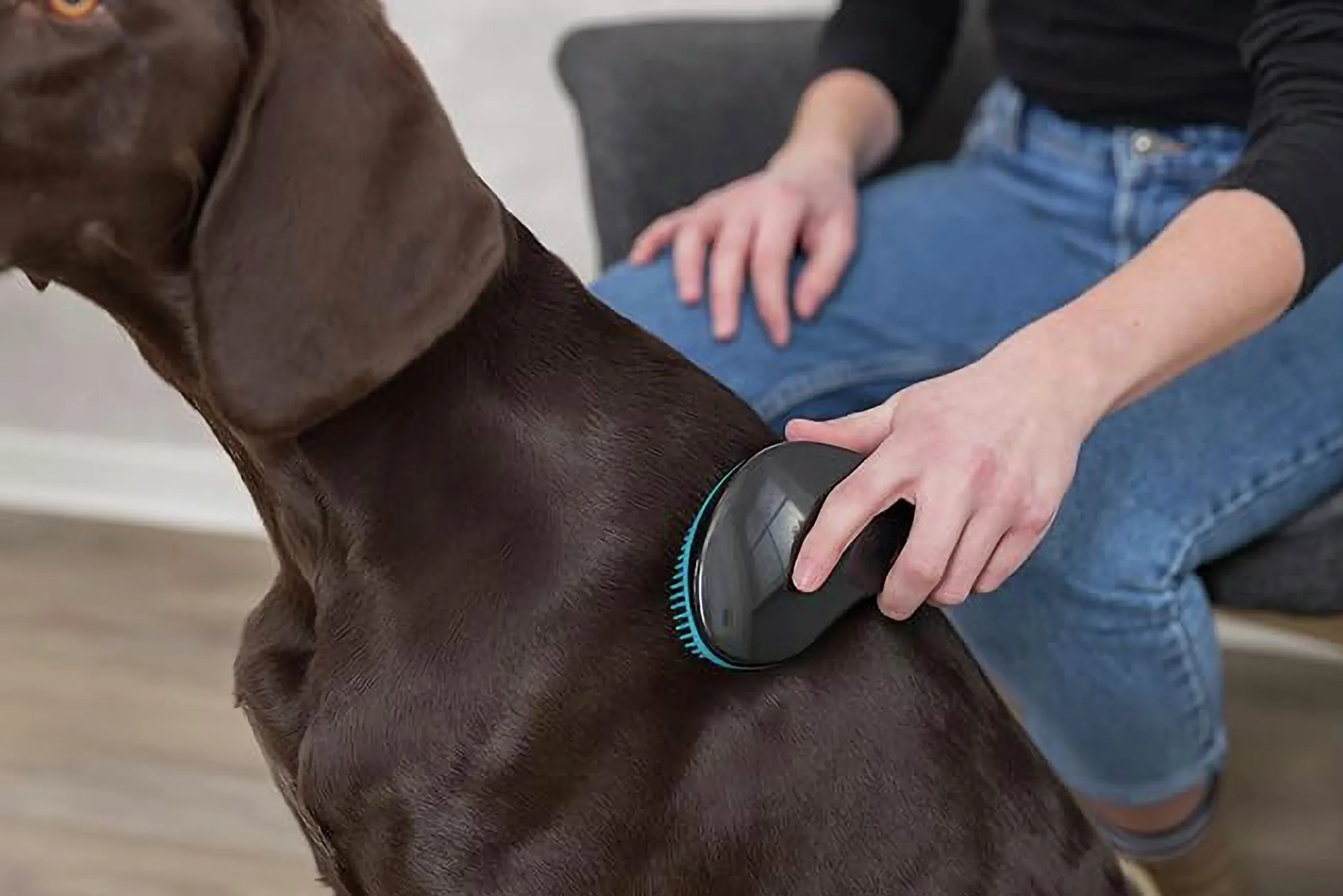 Hundborste Mjuk i Plast Turkos 19cm>Trixie Online