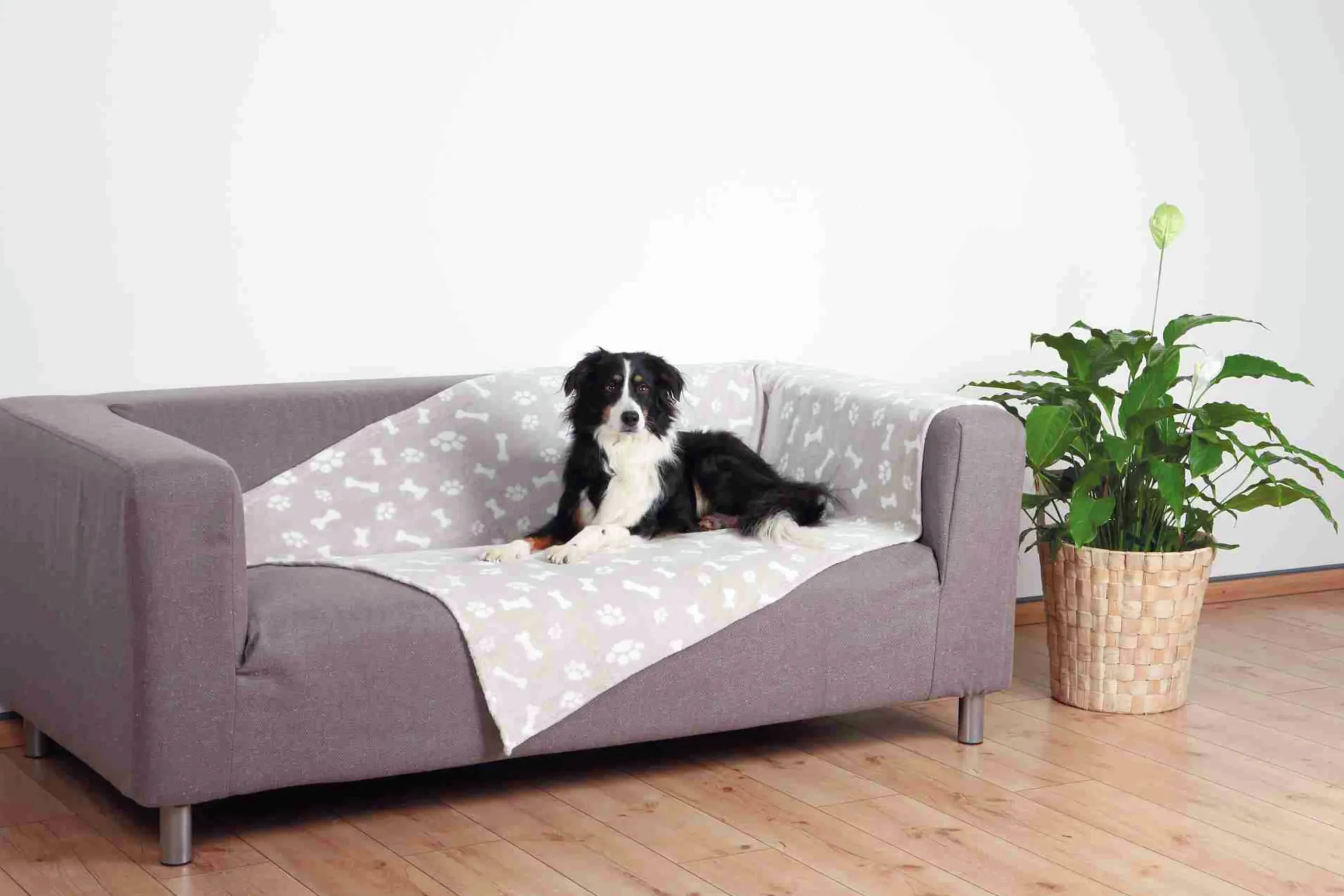 Hundfilt Kenny Beige 150x100cm>Trixie Outlet