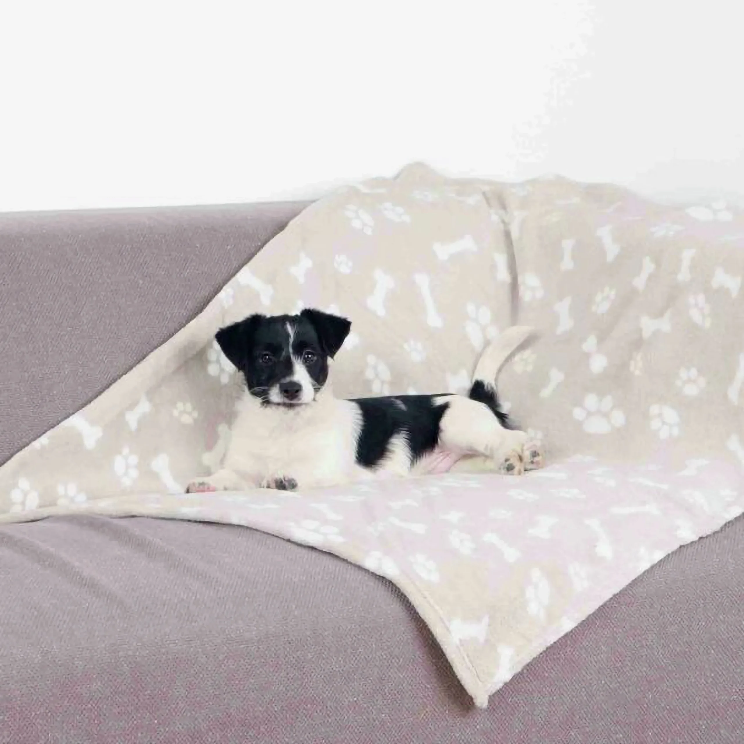 Hundfilt Kenny Beige 150x100cm>Trixie Outlet