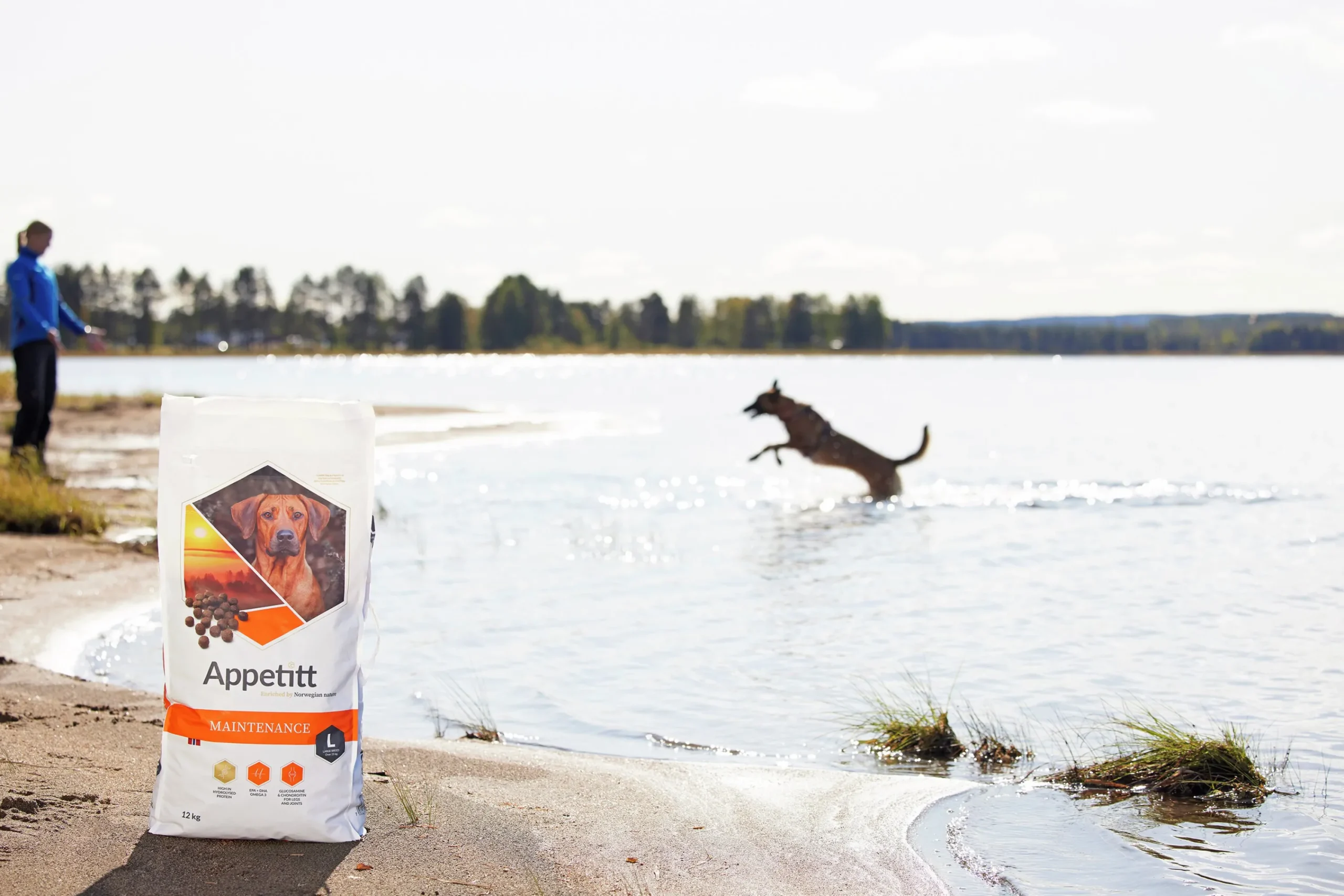 Hundfoder Maintenance Large 12kg>Appetitt New