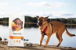 Hundfoder Maintenance Large 12kg><noscript><img width=