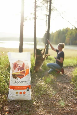 Hundfoder Maintenance Medium 12kg>Appetitt Best