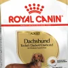 Hundfoder Dachshund Adult 7,5kg>Royal Canin Outlet