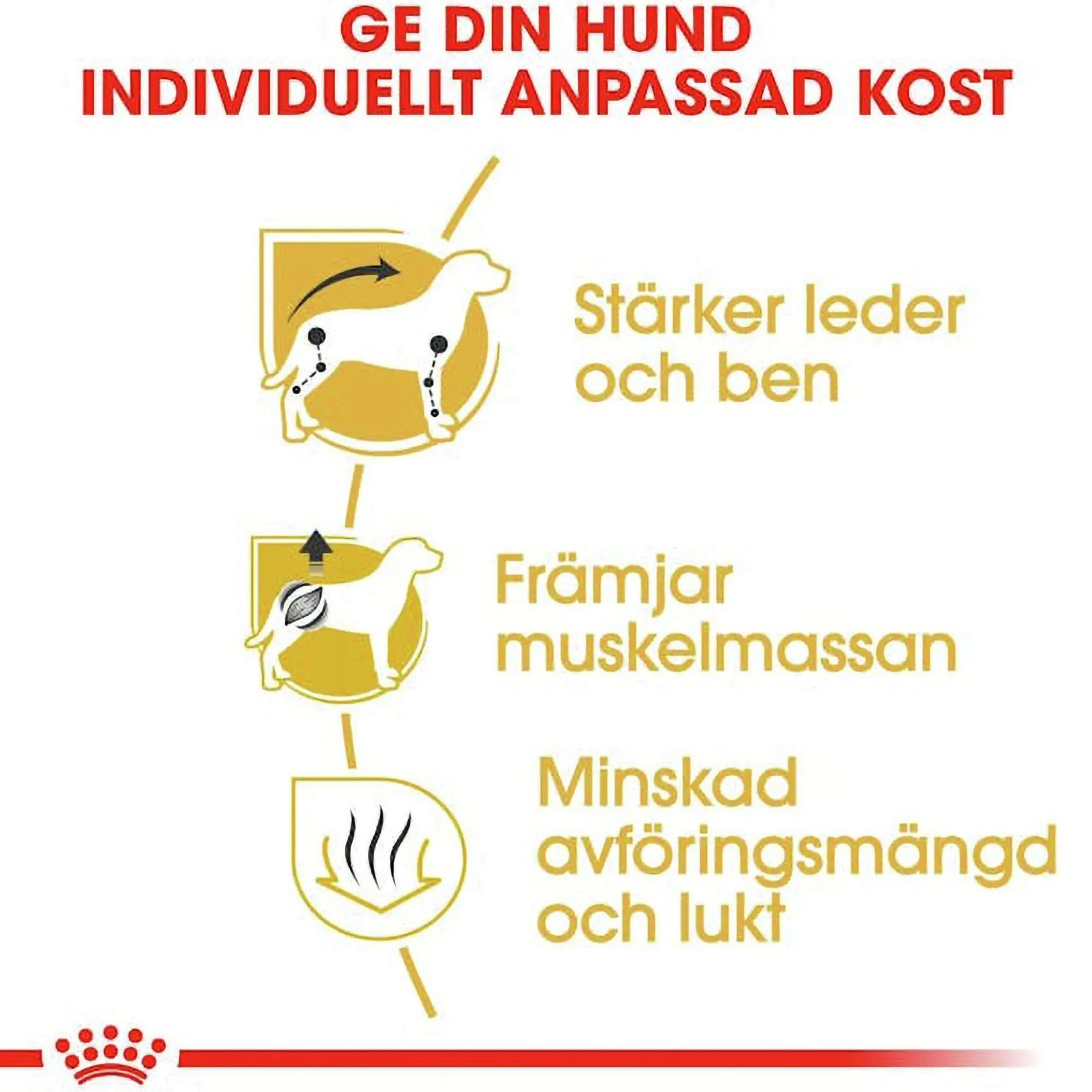 Hundfoder Dachshund Adult 7,5kg>Royal Canin Outlet