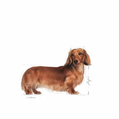 Hundfoder Dachshund Adult 7,5kg><noscript><img width=