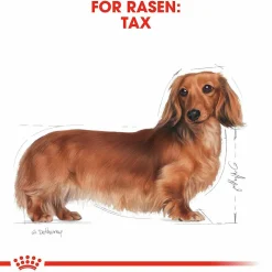 Hundfoder Dachshund Adult 7,5kg><noscript><img width=