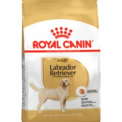 Hundfoder Labrador Retriver Adult 12kg><noscript><img width=