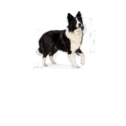 Hundfoder Medium Digestive Care 12kg><noscript><img width=