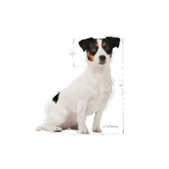 Hundfoder Mini Adult 8+ 8kg>Royal Canin Outlet