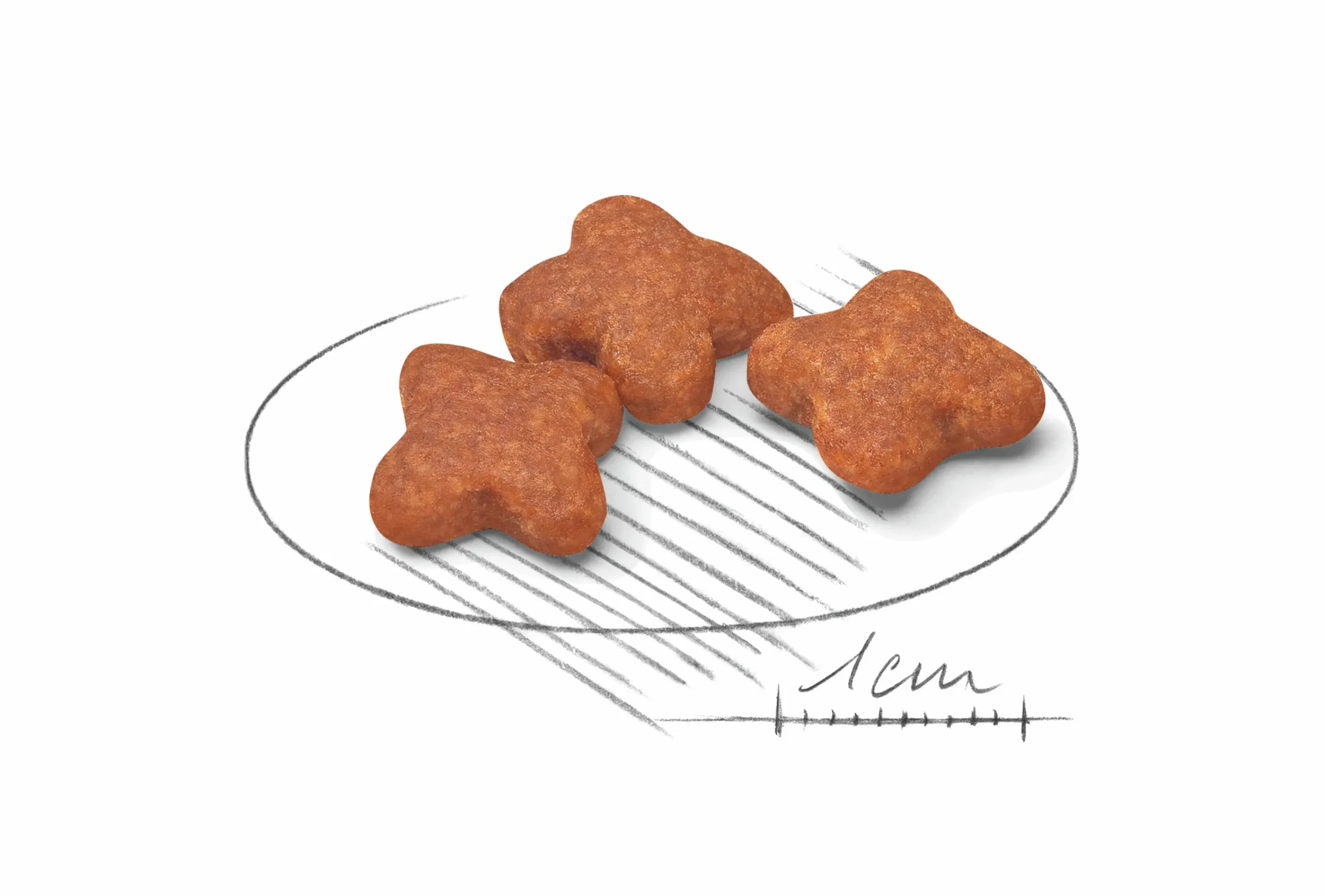 Hundfoder Mini Adult 8+ 8kg>Royal Canin Outlet