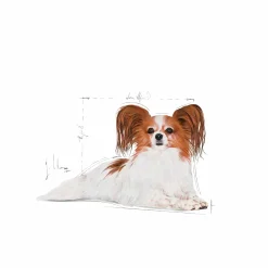 Hundfoder X-Small Ageing 12+ 1,5kg>Royal Canin New